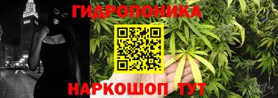 амф Лесосибирск
