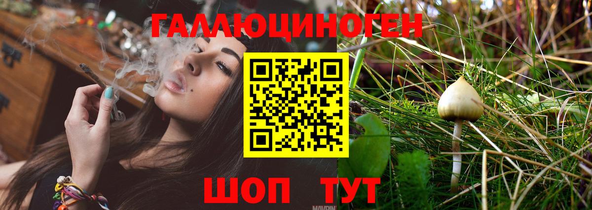 Псилоцибиновые грибы мицелий Тулун