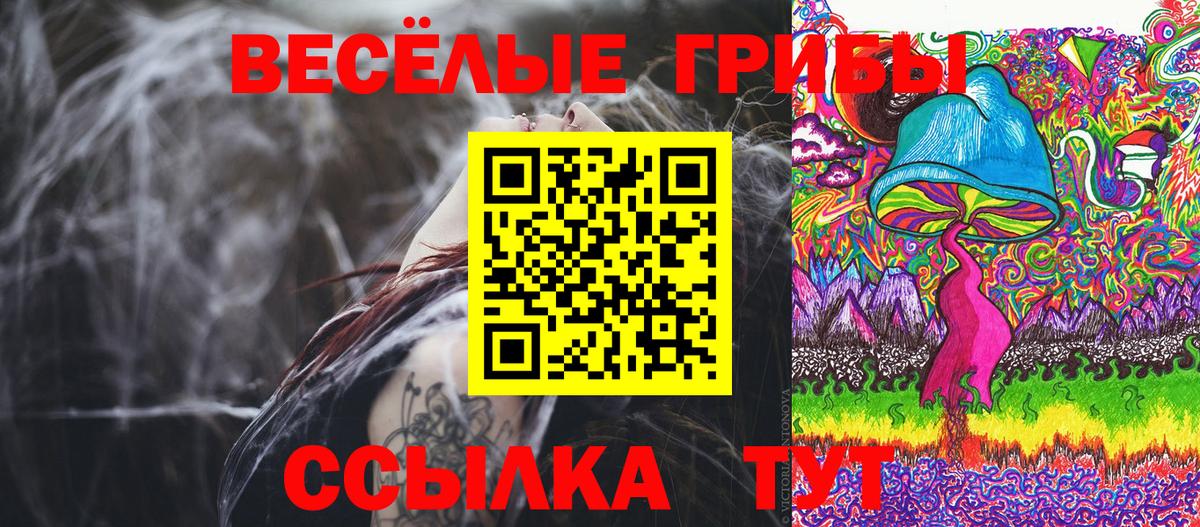 Псилоцибиновые грибы GOLDEN TEACHER  Вход с VPN  Тулун 